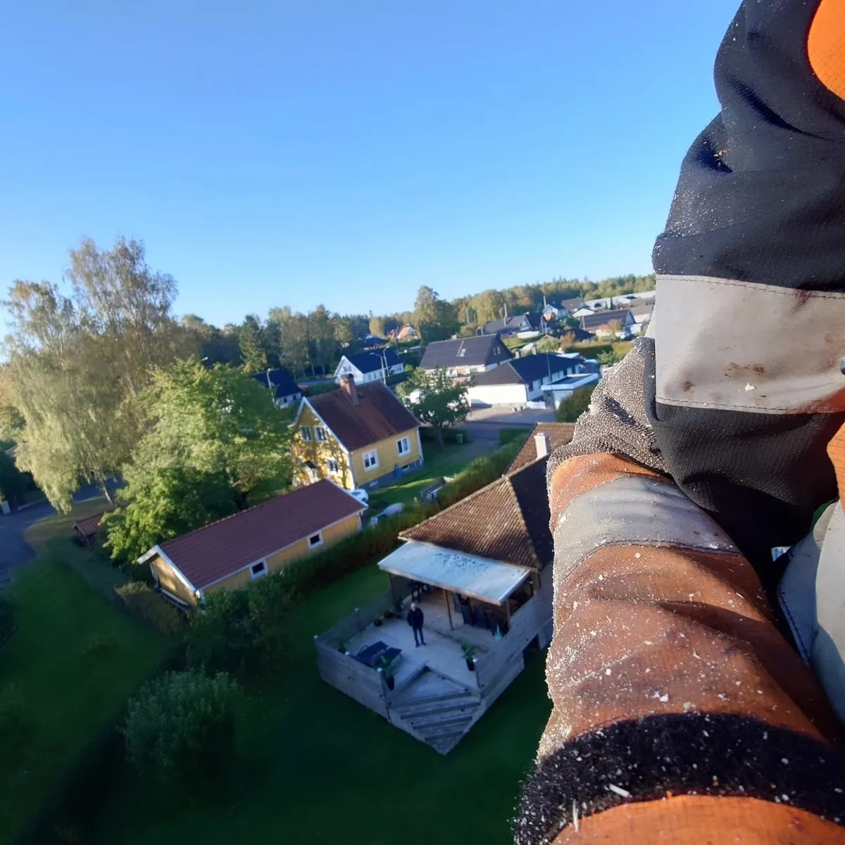 Utsikt från en trädtopp över villor och trädgårdar, klättrarens arm i förgrunden